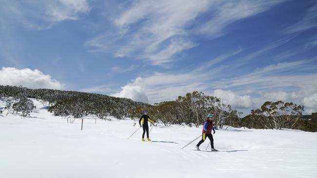 Cross-country skiing at Mt Baw Baw.