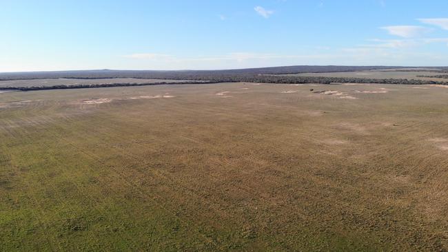 The Allen family has built up its Eyre Peninsula portfolio over six generations. Picture: Supplied by CBRE