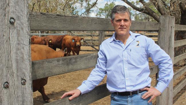 Agforce chief executive Michael Guerin.