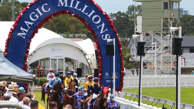 Magic Millions crowds. PIC: Mike Batterham.