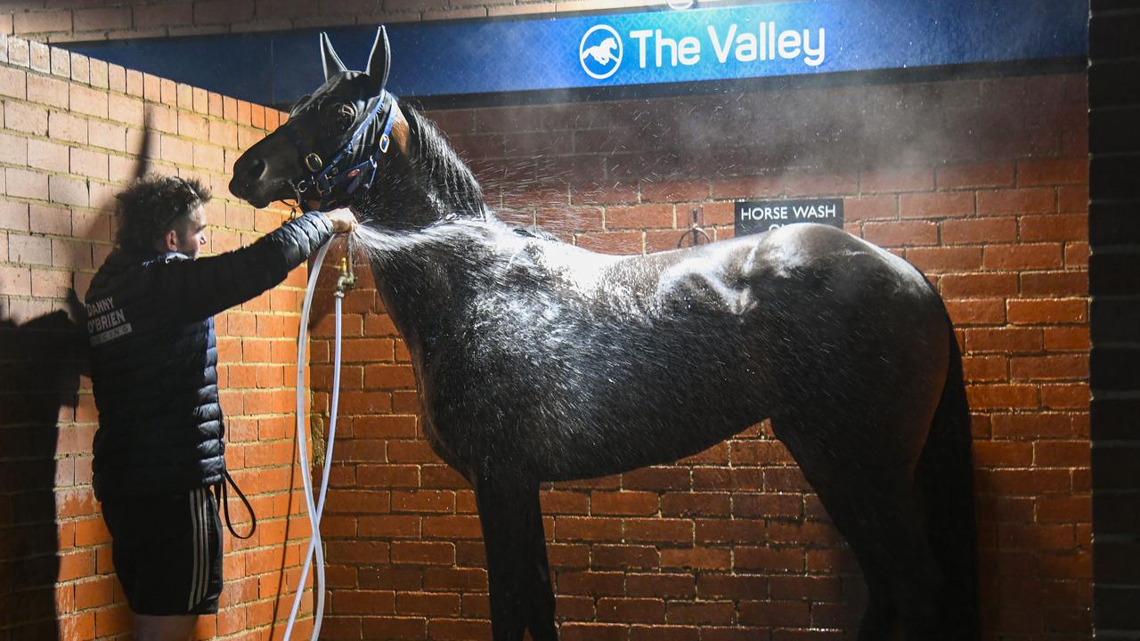 Moonee Valley Trackwork Session