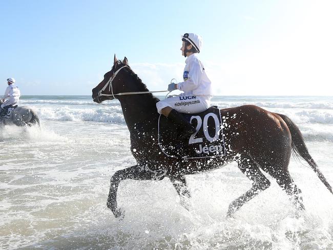 Michelle Payne at Surfers Paradise beach