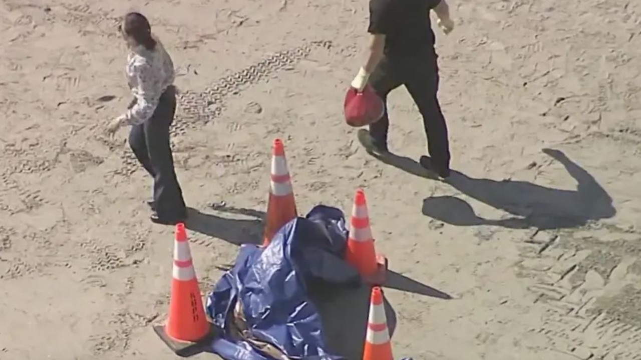 The sight shocked onlookers at the popular beach. Picture: NBC