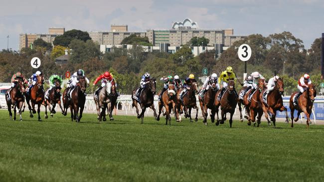 Thundering to the winning post in the 2023 Melbourne Cup. Picture: David Caird