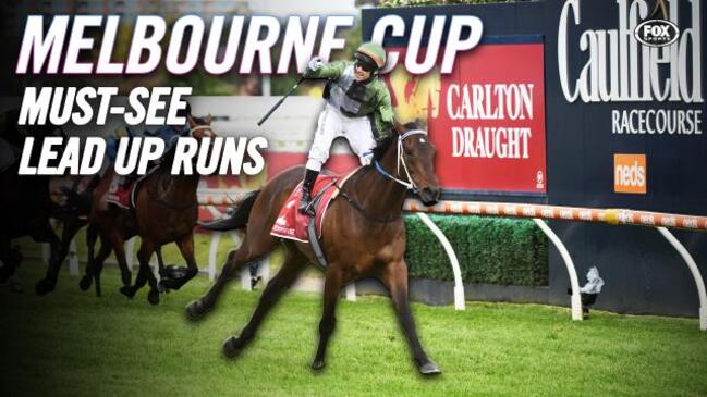 Racing Victoria checked Melbourne Cup runners Delphi and Future Score ...