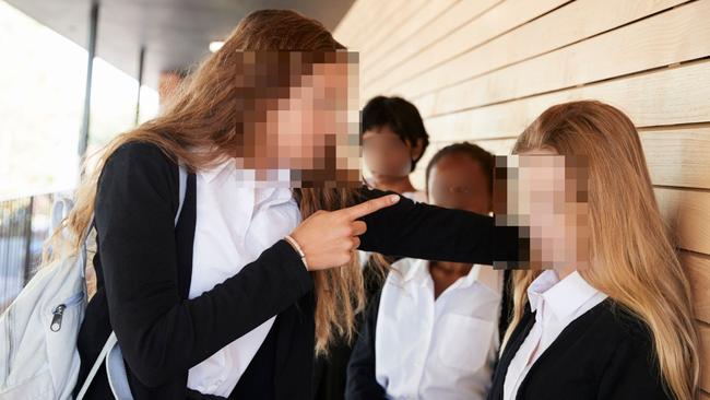 A federal government “rapid review” into school bullying is also under way.