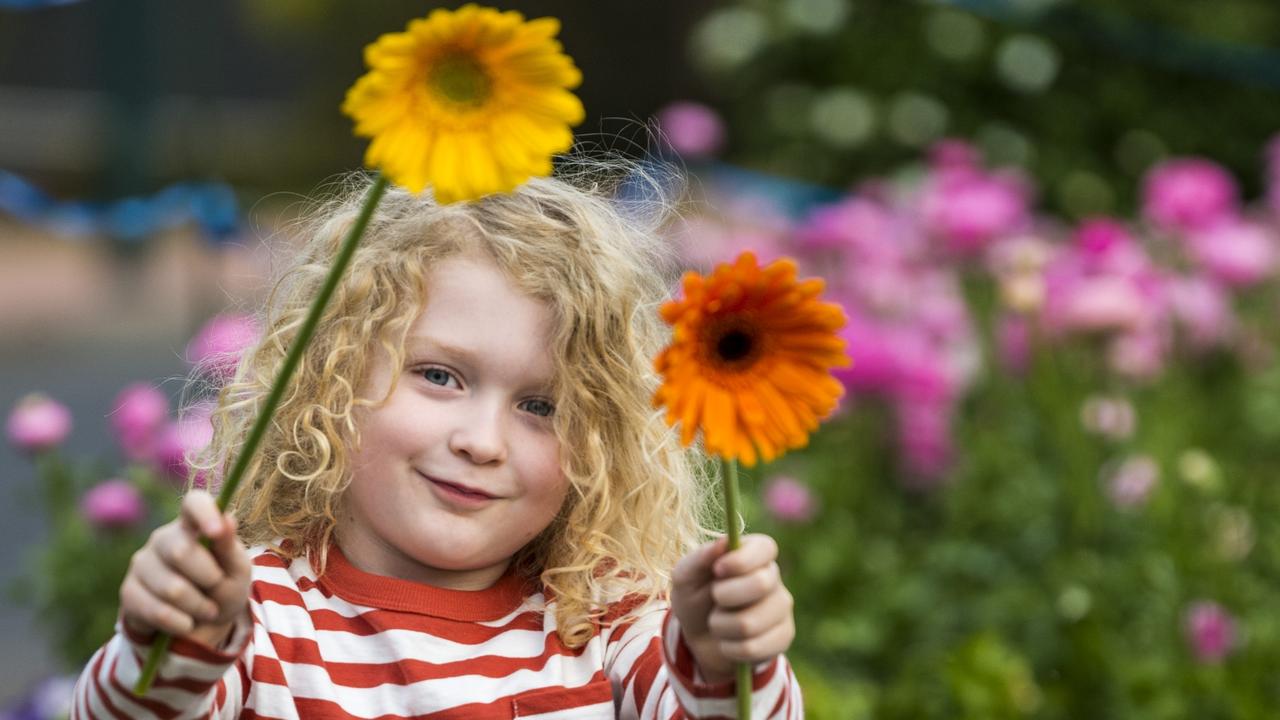 Four-year-old Beck Jensen is ready for the Toowoomba Carnival of Flowers. Picture: Kevin Farmer