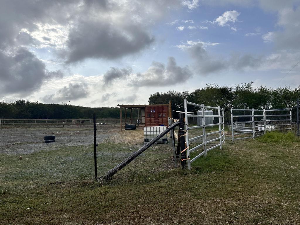 Stocksquad officers are investigating after a horse belonging to an Andergrove family was deliberately killed in a paddock on Beaconsfield Rd. Picture: Heidi Petith