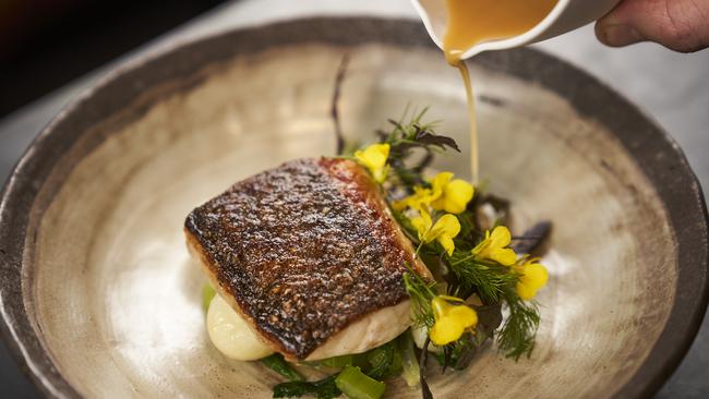 Pan-seared Murray Cod with winter vegetables at eleven in Adelaide. Picture: Matt Loxton