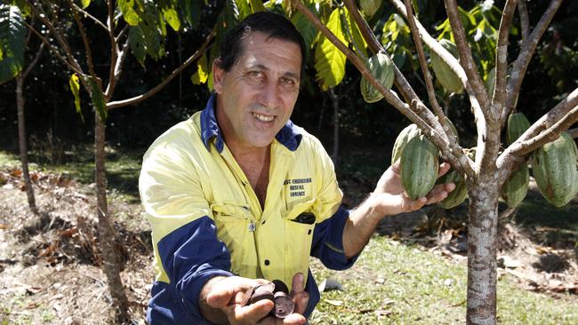 Rural Insight: Cairns cocoa farmer has big plans to be the first to ...