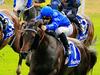 Furnaces burns turf in record run