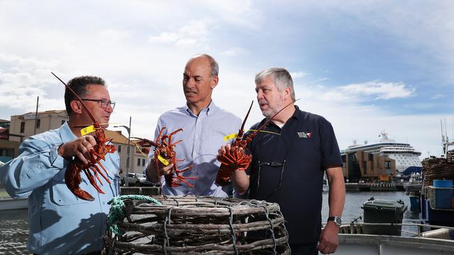 L-R Chief Executive Officer TARFish Mark Nikolai, Primary Industries Minister Guy Barnett, Chief Executive Officer Tasmanian Rock Lobster Fishermen's Association Ltd John Sansom with rock lobster on the Hobart waterfront. Picture: NIKKI DAVIS-JONES