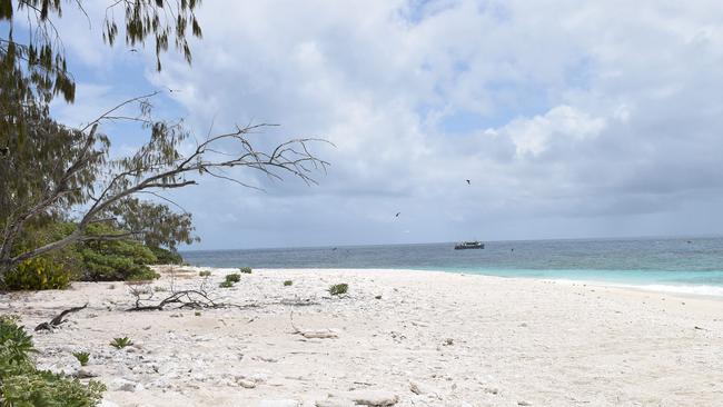 on Wilson Island.