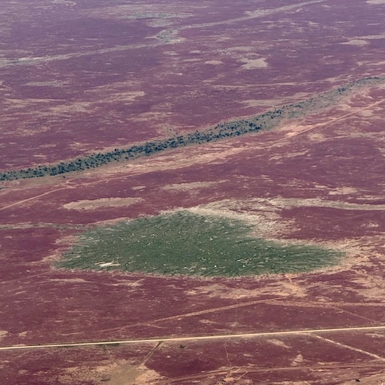 Greenery forms a heart shape in the Channel Country as flood waters make their wat to Lake Eyre. Picture: Birdsville Aviation