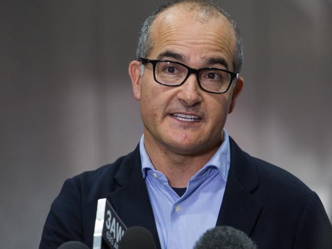 Acting Premier James Merlino says garden maintenance workers should not work in the seven day lockdown if the worksite is owner occupied. Picture: NCA NewsWire / Paul Jeffers