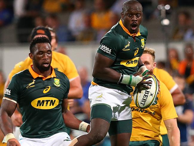 Springboks v Wallabies; Rugby Championship | Daily Telegraph