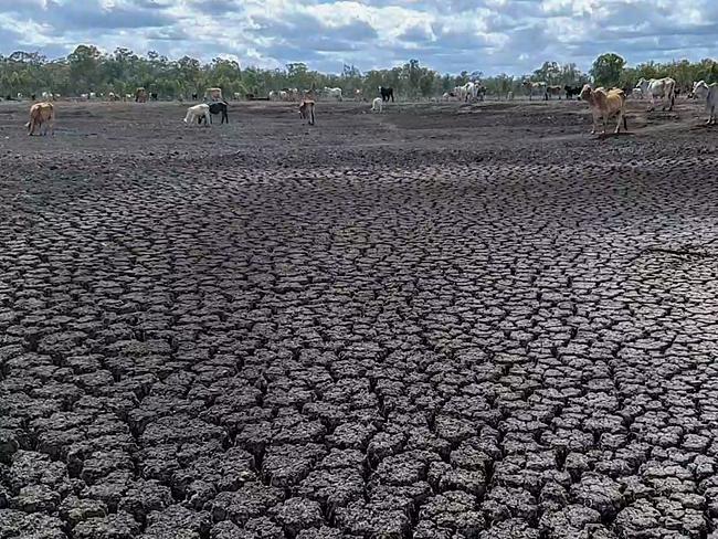 Dams are dry in the Gladstone region gripped by drought.