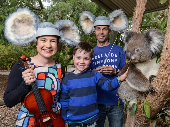 Adelaide Symphony Orchestra performs Koala Bob is on the Loose. Conductor David Sharp, violinist Janet Anderson and her son Billy with Dewi the koala at Cleland Wildlife Park. Picture: Brenton Edwards