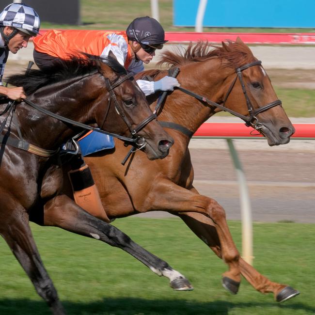 2019 Melbourne Cup winner Vow and Declare ridden by Craig Williams and Russian Camelot ridden by Damien Oliver (left) hit the track. Picture: Mark Wilson