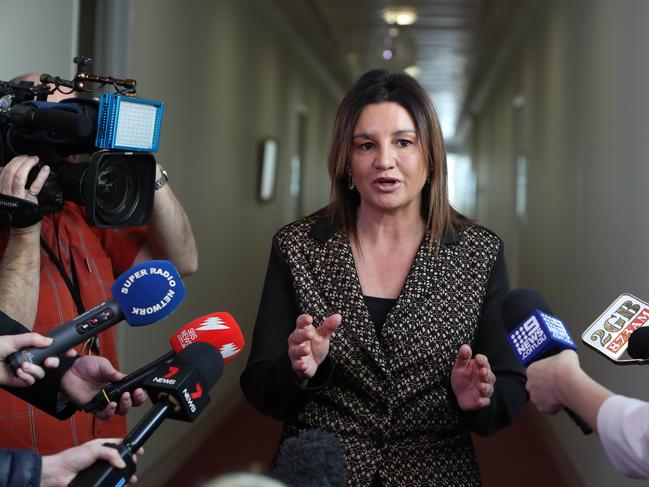 Senator Jacqui Lambie speaking at a doorstop at Parliament House in Canberra. Picture Kym Smith