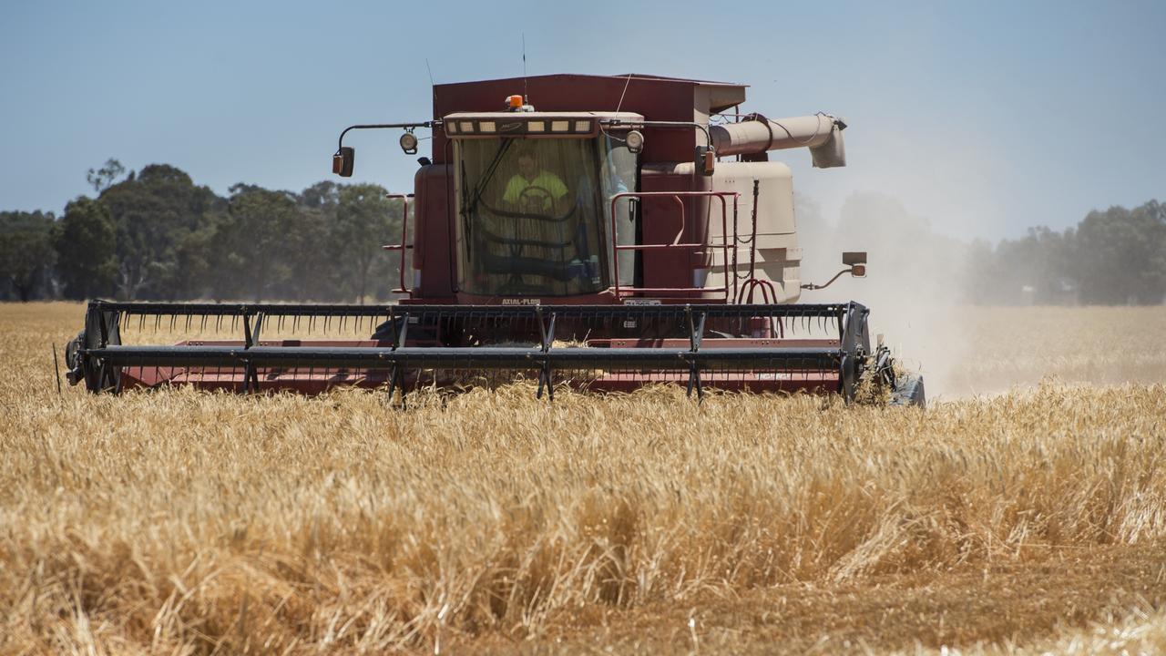 China has threatened to put a tariff on Australia’s barley. Picture: Zoe Phillips