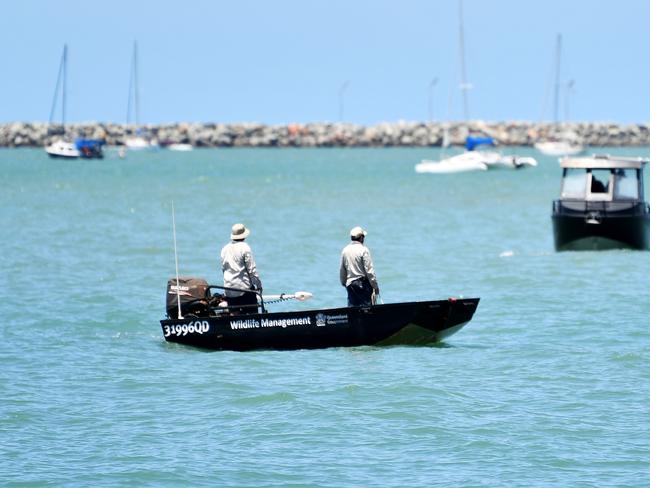 Wildlife Management patrolling the Strand after reports of a crocodile sighting. Picture: Alix Sweeney