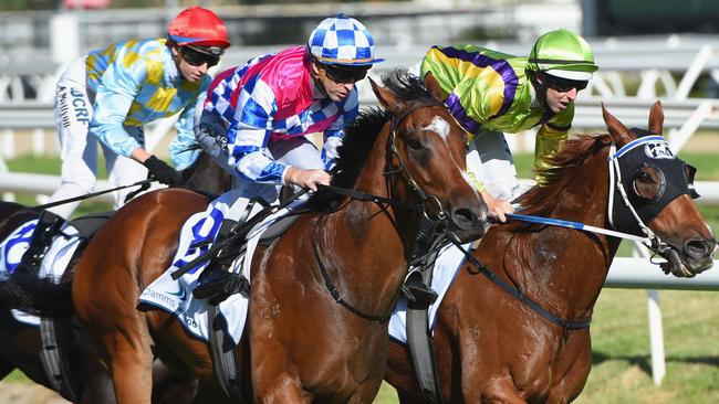 Fell Swoop, left, flashed home for second in the Oakleigh Plate last month.
