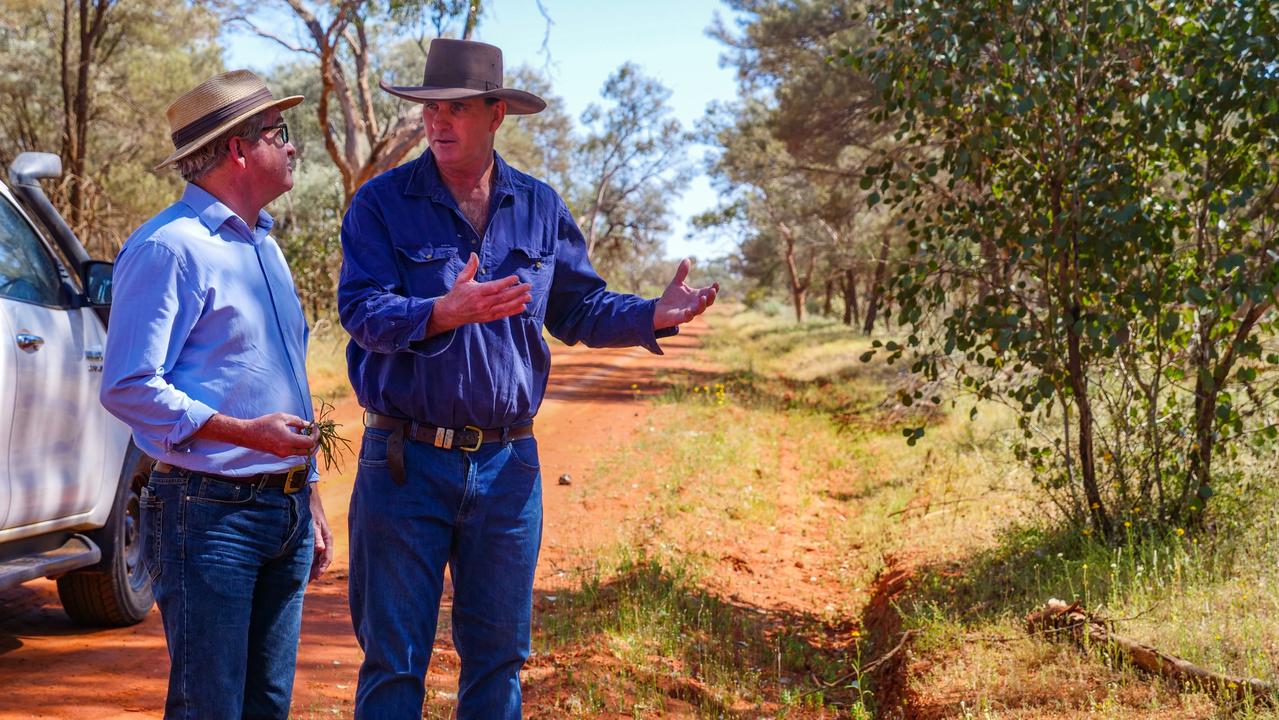 Qld leads way as carbon farming takes off