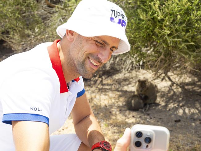 *STRICTLY EDITORIAL USE ONLY* DECEMBER 29: Novak Djokovic (SRB) is seen having a photo with a quokka on Rottnest Island before the 2024 United Cup in Perth, on Friday, December 29, 2023. Picture: NCA NewsWire / TA Pool / Matt Jelonek