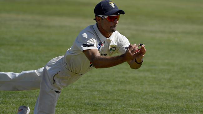 An Oakleigh fielder takes a diving catch. Picture: Andrew Batsch