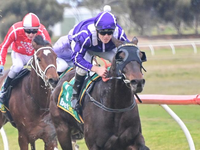 Aspen Colorado should again pack too much pace for his opposition when trained Lindsey Smith produces the import at Geelong on Wednesday. Picture : Racing Photos via Getty Images.