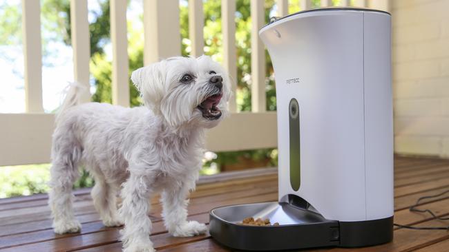 A smart pet feeder.