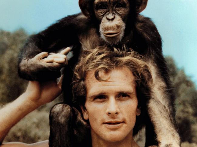 ONE TIME WEB USE FOR NEWS.COM.AU ONLY - FEES APPLY -  RYGE7W RON ELY, TARZAN, 1966  Picture: Alamy