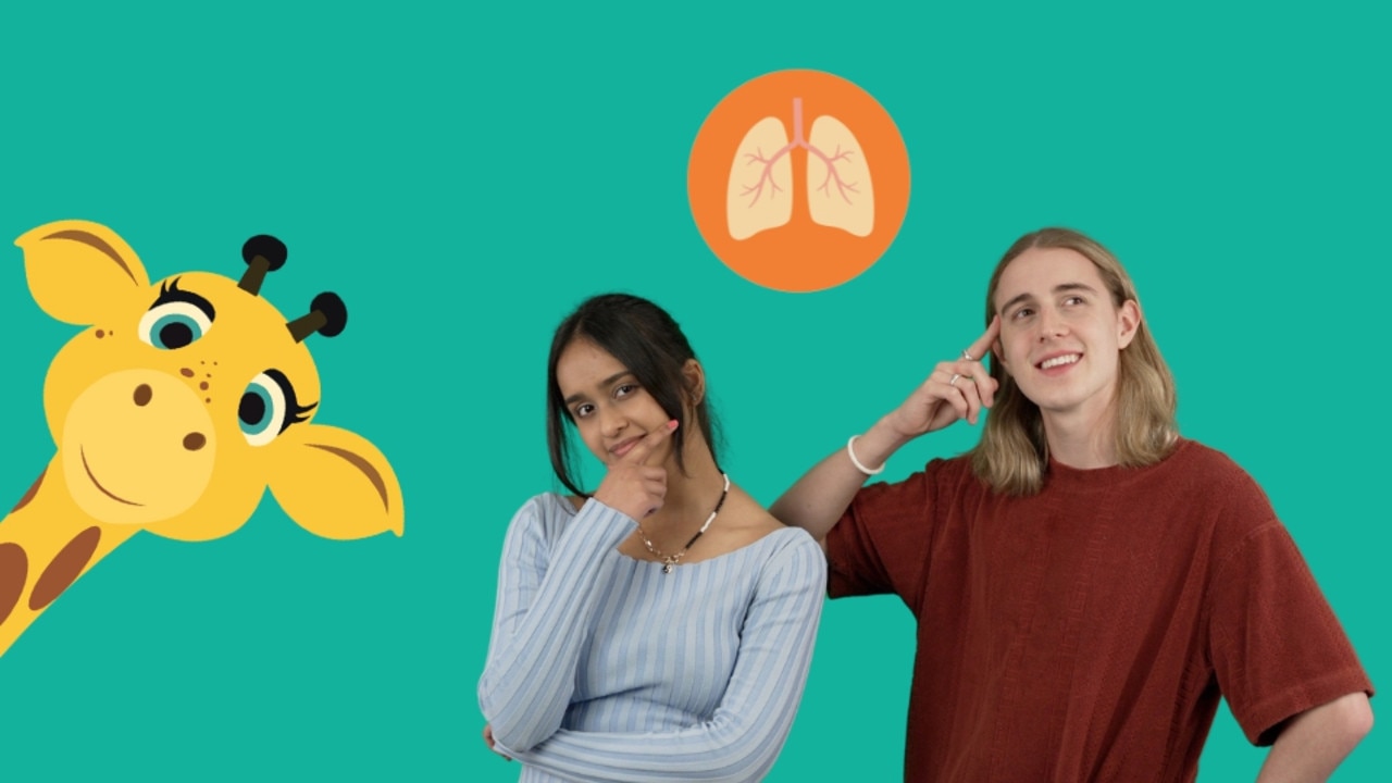 Healthy Harold says that making great choices will help ensure you have healthy lungs in the future. Picture: supplied/Life Ed