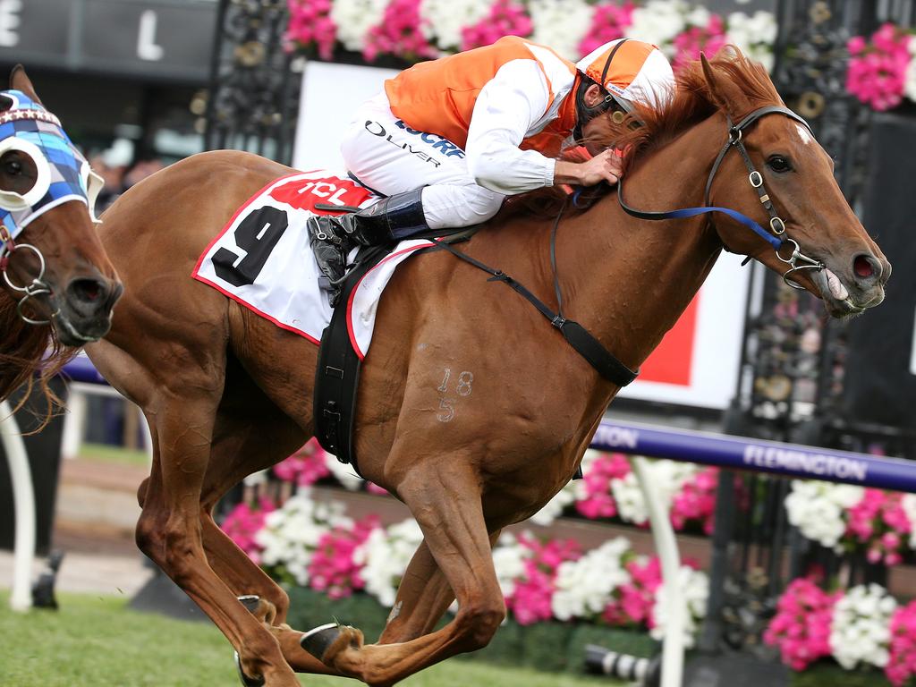 Vow And Declare and Damien Oliver combine to win at Flemington last year.