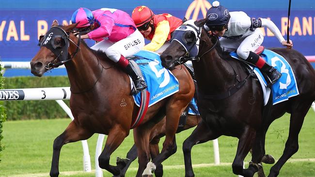 Smart sprinter Recommendation can make a winning return to racing in the Group 3 Sir John Monash Stakes at Caulfield. Picture: Getty Images