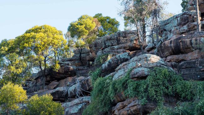 Falcon Falls track, Cocoparra National Park Picture: NSW National Parks