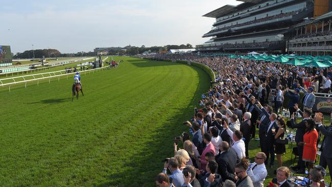 Jockey Hugh Bowman returns to scale after riding Winx to victory in front of a massive crowd