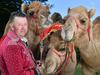 Meet camel sisters Sahara, Ruby and Cleo