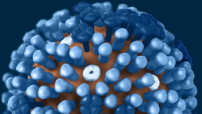 The influenza virus close up.