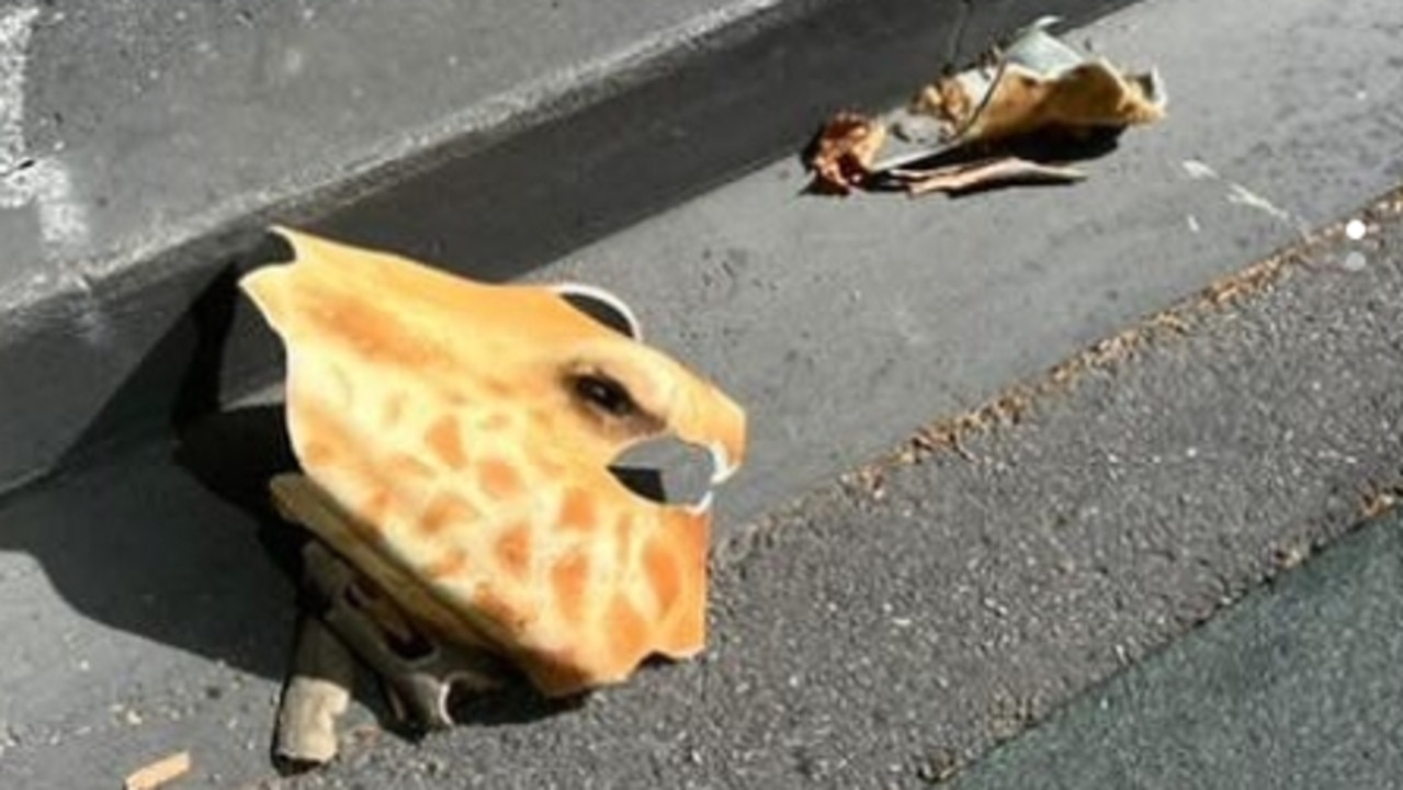 The giraffe head stuck to the outside of a Myer Christmas window in Melbourne’s CBD was found in a gutter. Picture: Instagram