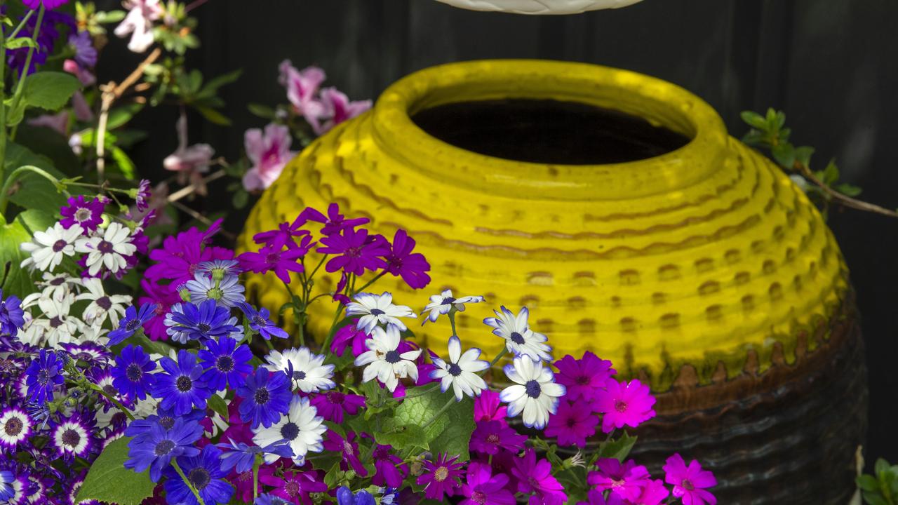 The garden of Bob and Val Ford, 19 Burke St Toowoomba. 2020 Garden for Good. Wednesday. 23rd Sep 2020