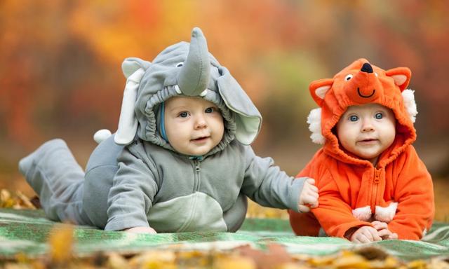 Animal and colour-inspired baby names tipped to be popular in 2019