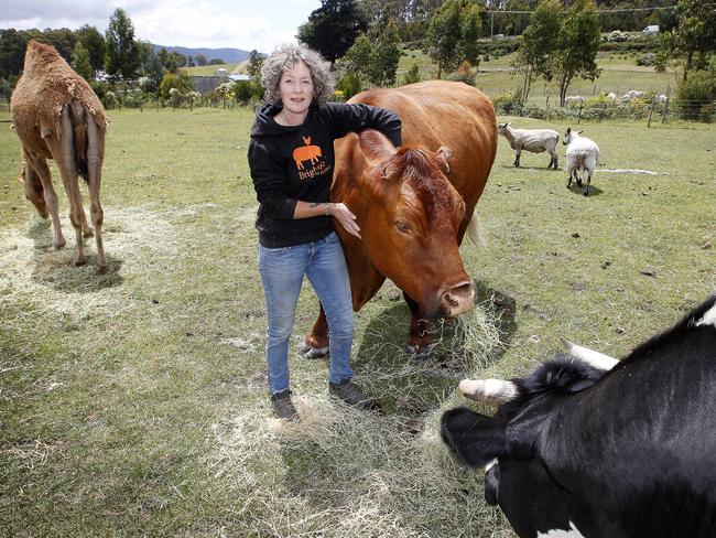 Brightside Farm Sanctuary founder Emma Haswell with animals on the Cygnet property. Picture: MATTHEW THOMPSON