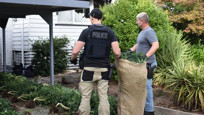 Croydon detectives at the scene of a $2 million cannabis raid in Ringwood. Picture: Kiel Egging.