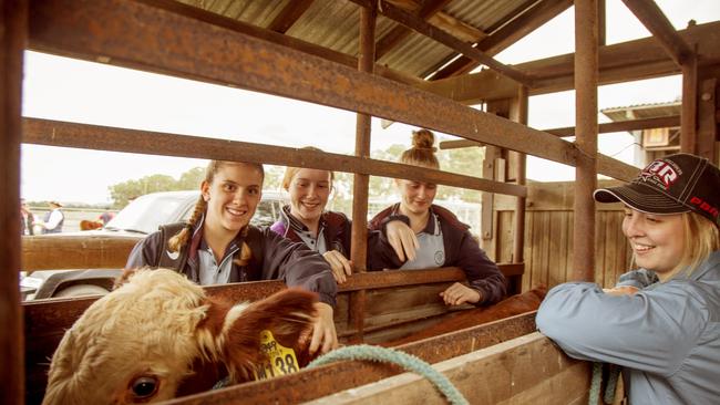 Crestwood High School students with Western Sydney University Animal Science student Alana Wade Picture: Sally Tsoutas