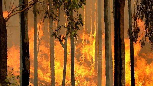 Bushfires NT issued a Watch and Act warning for the area near Cheeney Rd on Wednesday afternoon and nearby residents are being urged to take action to protect their family and property