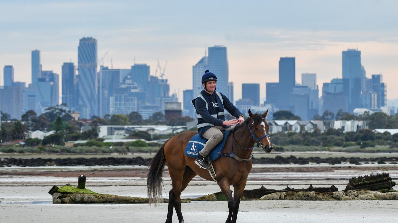 Zaaki is the favourite for the race. Photo by Vince Caligiuri/Getty Images