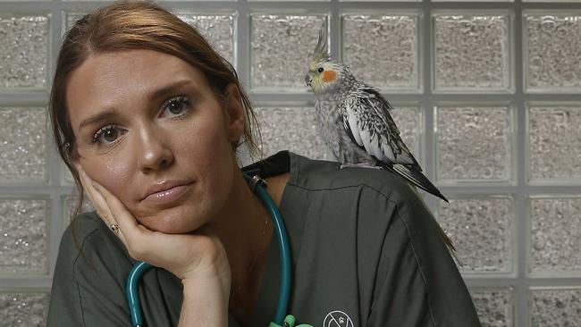 Dr Jennifer Millar with Tweet the Cockatiel at Cammeray vet. Picture: John Appleyard