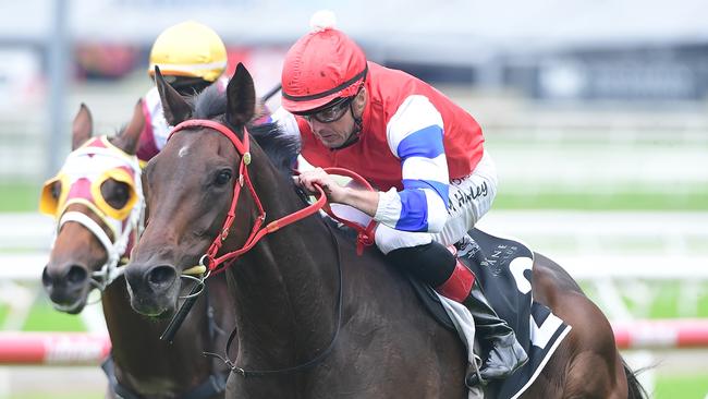 Will Hulbert will target the Melbourne Cup if import Dillian can win at Eagle Farm on Saturday. Picture: Trackside Photography